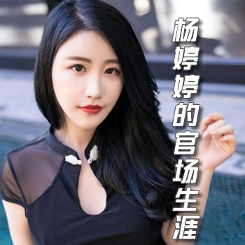 杨婷婷的官场生涯